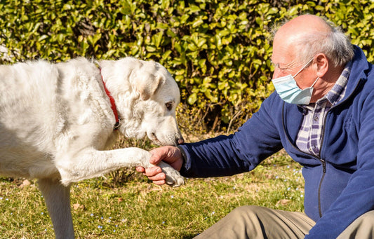 Pourquoi le léchage est essentiel pour la santé mentale de votre chien